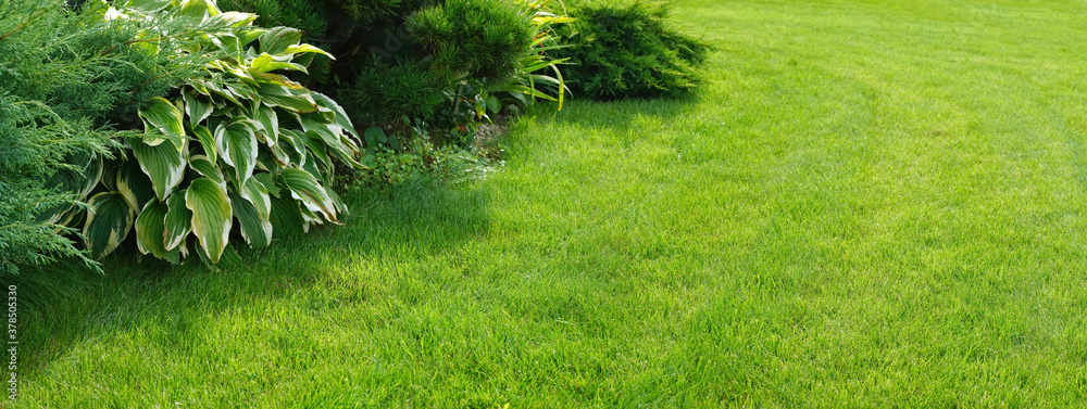 Beautiful manicured lawn and flowerbed with deciduous shrubs on plot or Park outdoor. Green lawn clo