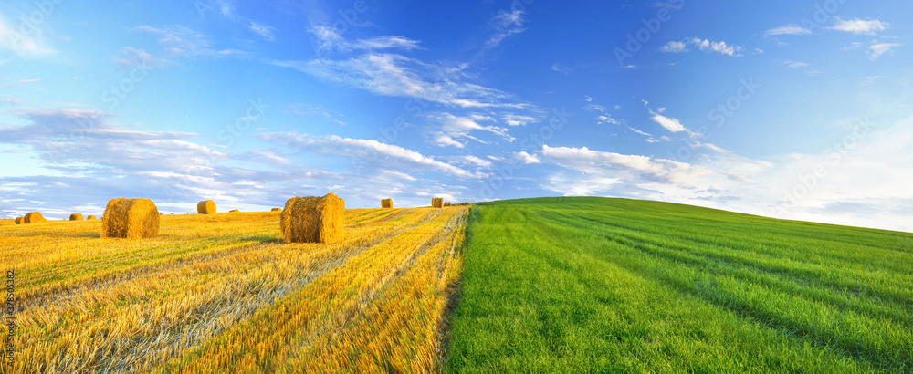 Panoramic natural landscape with green grass, golden field of harvested wheat with bales and blue sk