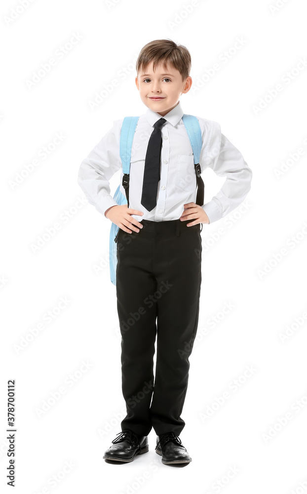 Little schoolboy on white background