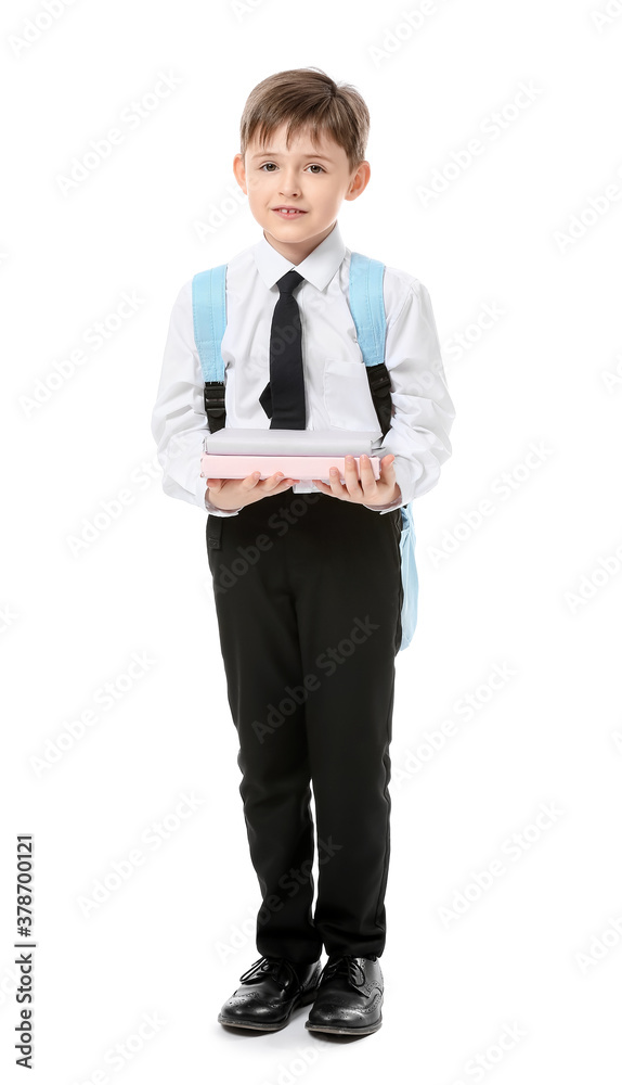 Little schoolboy with books on white background