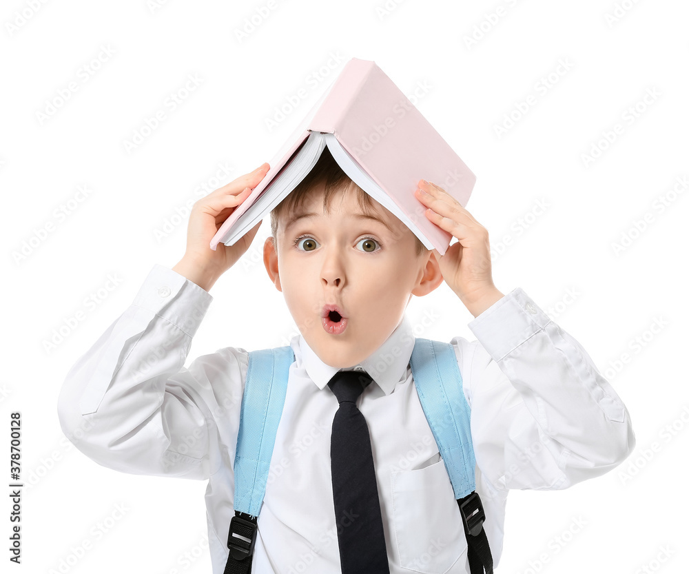 Little schoolboy with book on white background