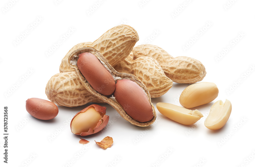 Group of peeled, unpeeled and opened shell peanuts - clipping path included