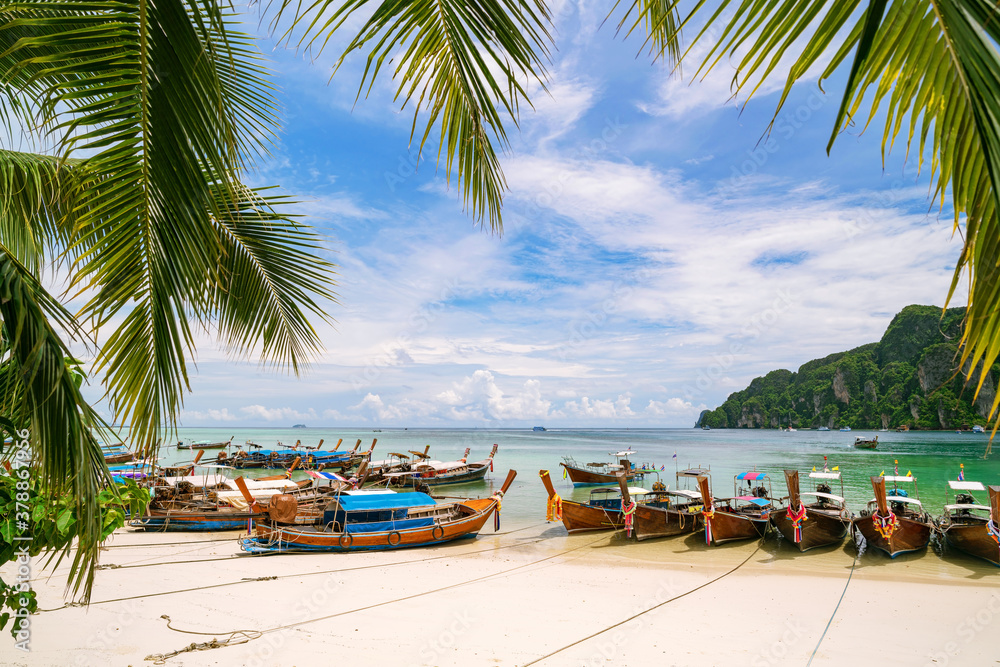 Traditional longtail boats parking on the beach with coconut palm tree frame in Phi Phi island Krabi