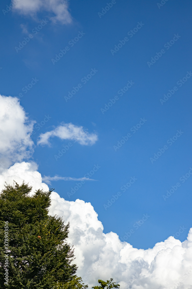 青空と新緑と雲