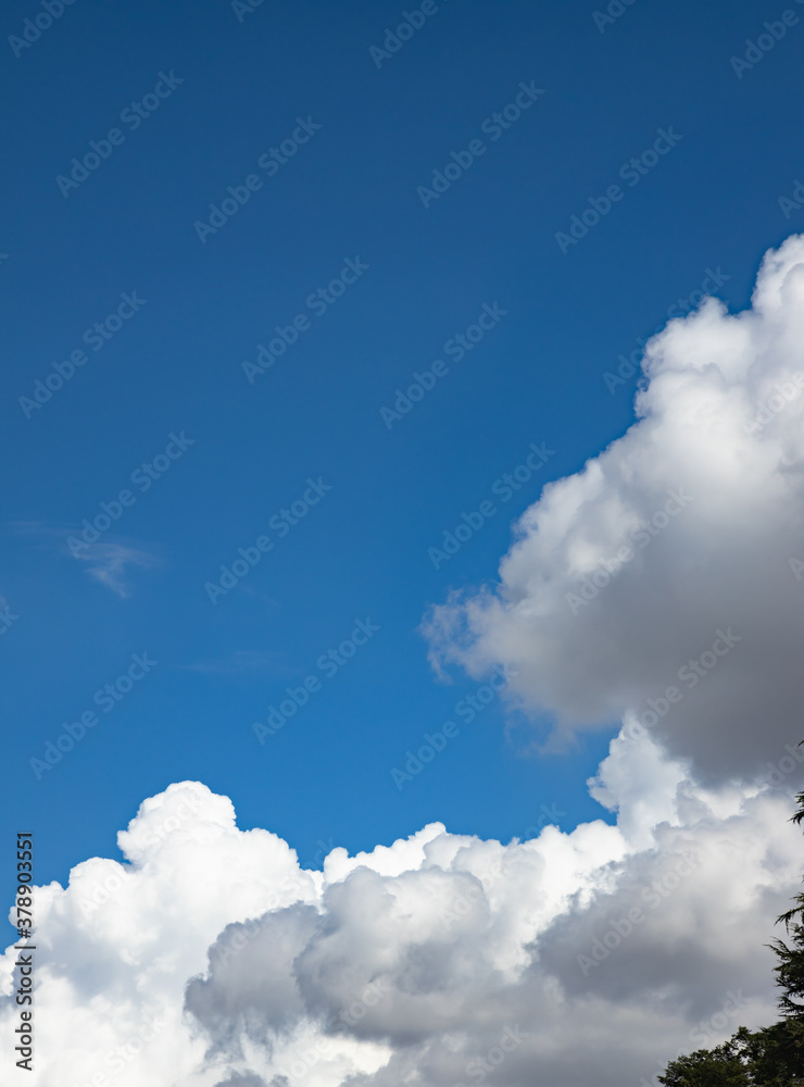 青空と新緑と雲