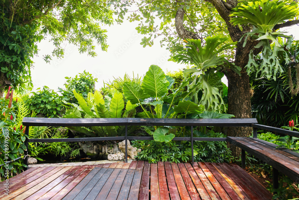 green leaf with tree and wood in garden at park