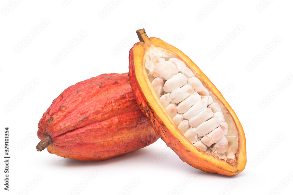 Fresh cocoa fruits with half sliced and isolated on white background with clipping path