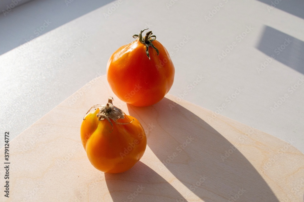 Composition in the bright rays of the daytime sun. Two yellow tomatoes of an elongated shape on a wo