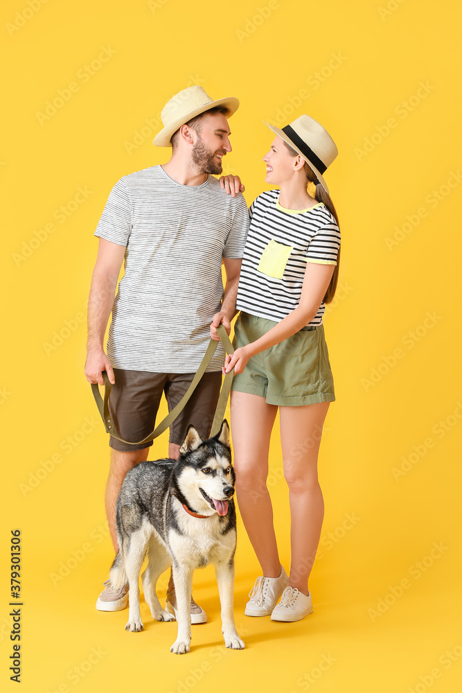 Young couple with cute Husky dog on color background