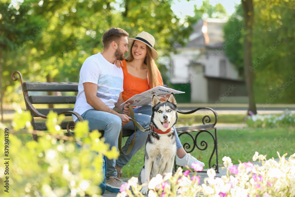 Young couple with cute Husky dog in park