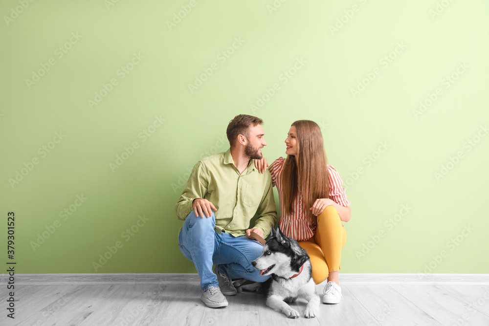 Young couple with cute Husky dog near color wall