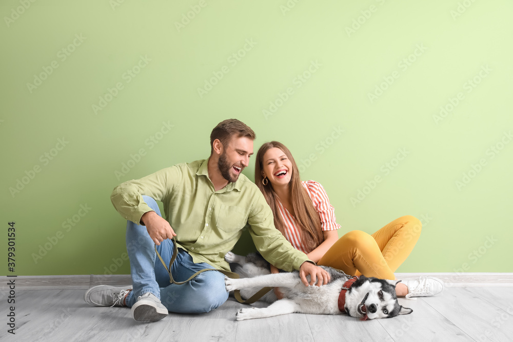 Young couple with cute Husky dog near color wall