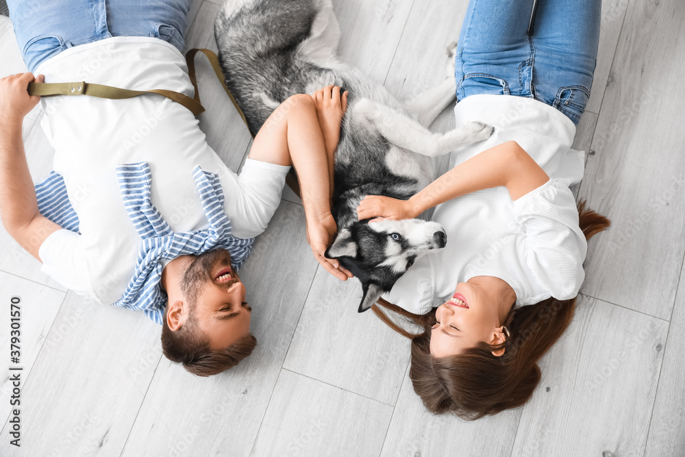 Young couple with cute Husky dog at home, top view