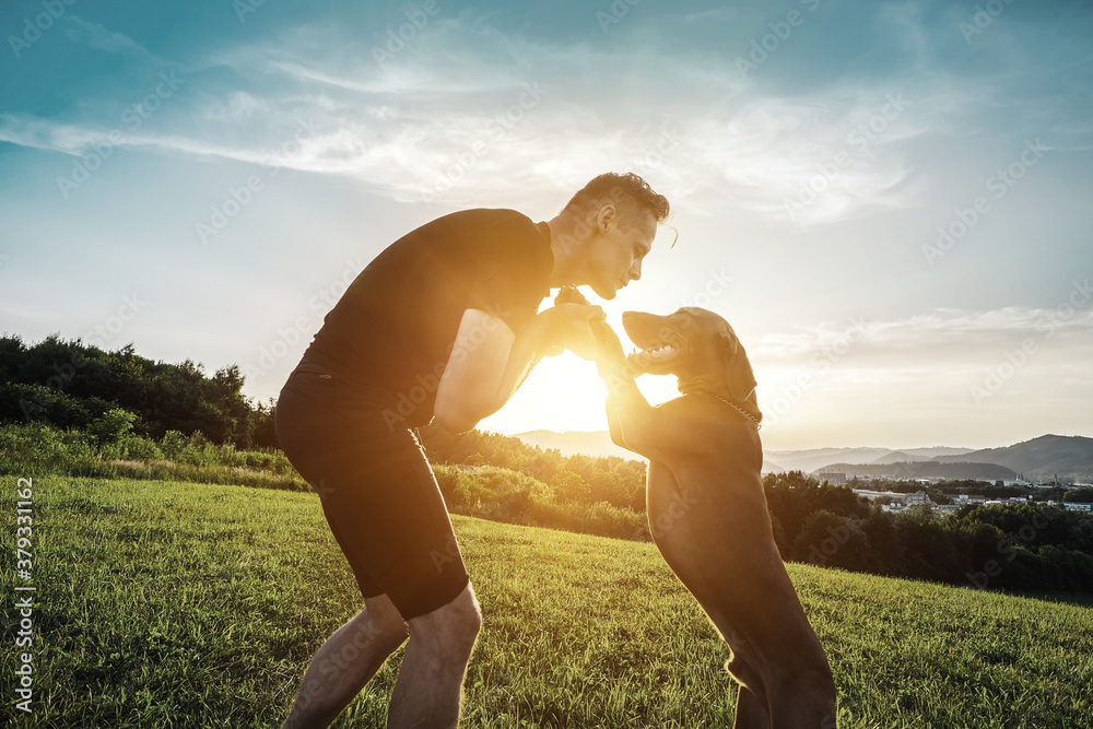 Silhouettes of runner and dog on field under golden sunset sky in evening time. Outdoor running. Ath