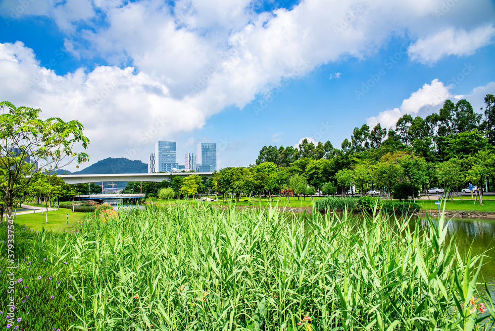 Jiaomen Riverside Scenery, Nansha District, Guangzhou, China