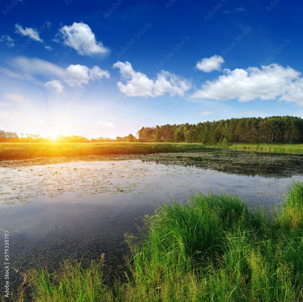 landscape with a river