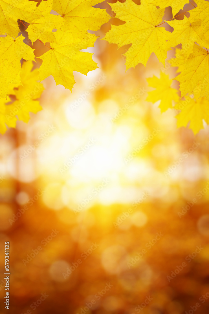  Fall blurred background.