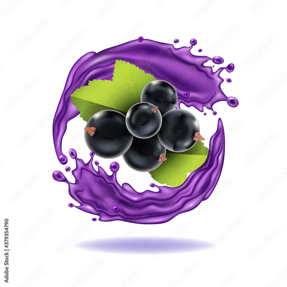 Realistic Detailed 3d Black Currant Berries with Splash Juice. Vector