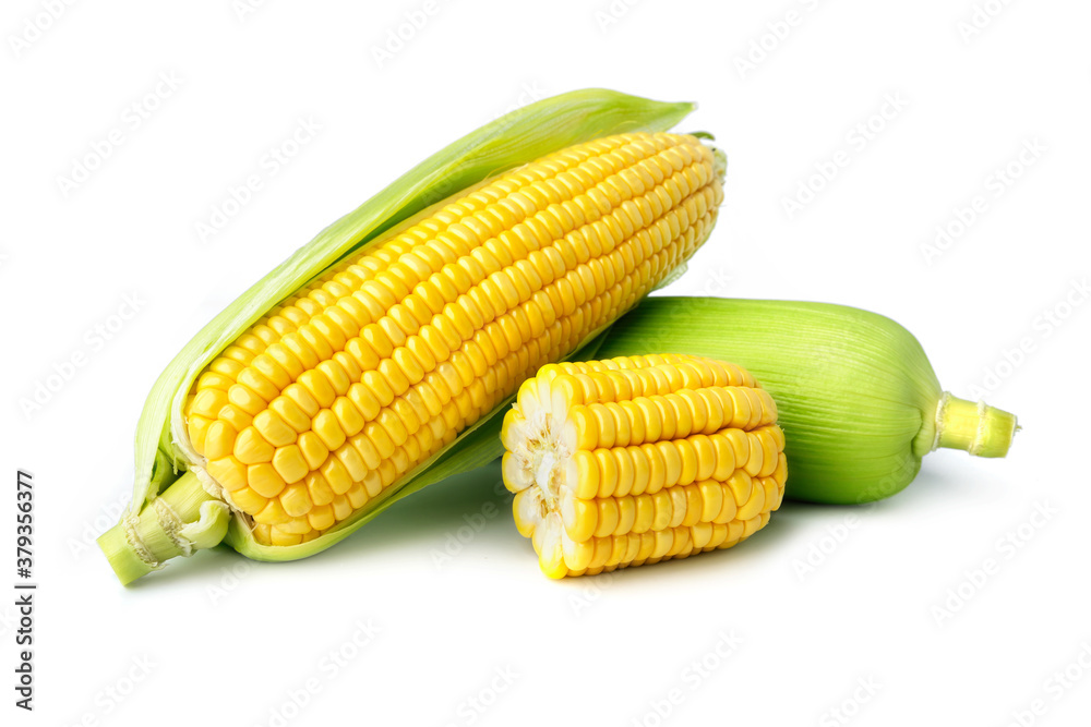 fresh corn isolate on white background