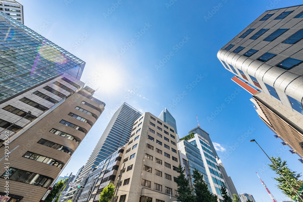 新緑が綺麗な東京のビル群