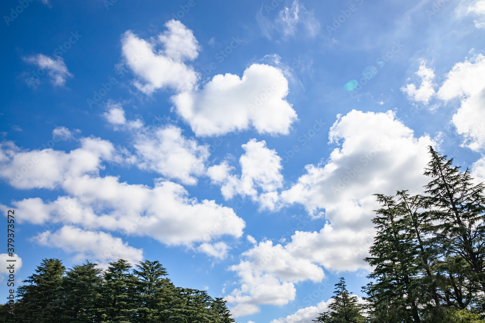 青空と雲と新緑