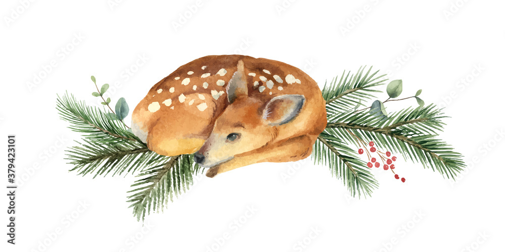 Watercolor vector Christmas card with fawn and fir branches.