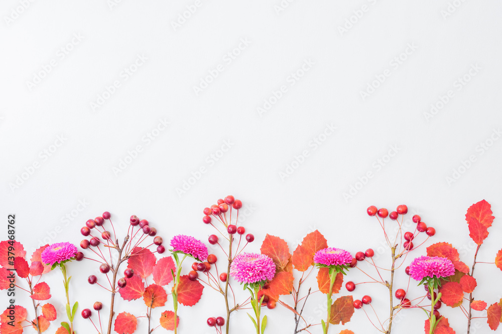 Flat lay composition with colorful autumn leaves, flowers and small red apples on a white background