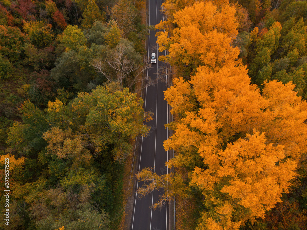 Aerial view of road in beautiful autumn altai forest. Beautiful landscape with empty rural road, gol