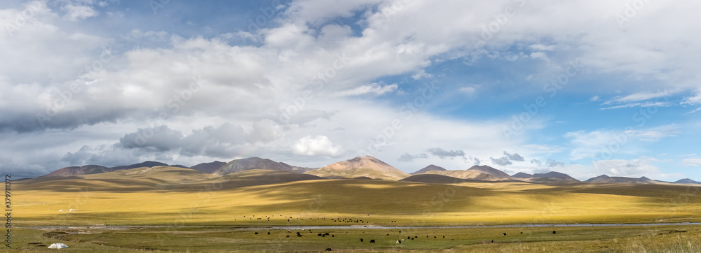 autumn pasture landscape