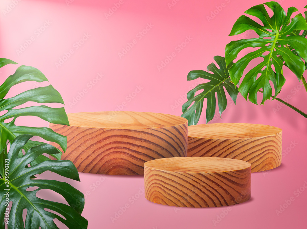 wooden podium stage cylinder for show product with green Monstera leaf on pink background with shado