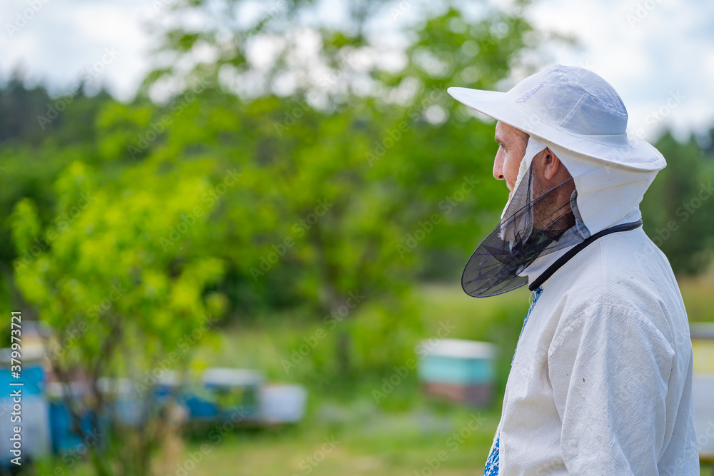 Half face view of beekeeper at apiary. Protective clothes. Apiculture. Beekeeping concept.