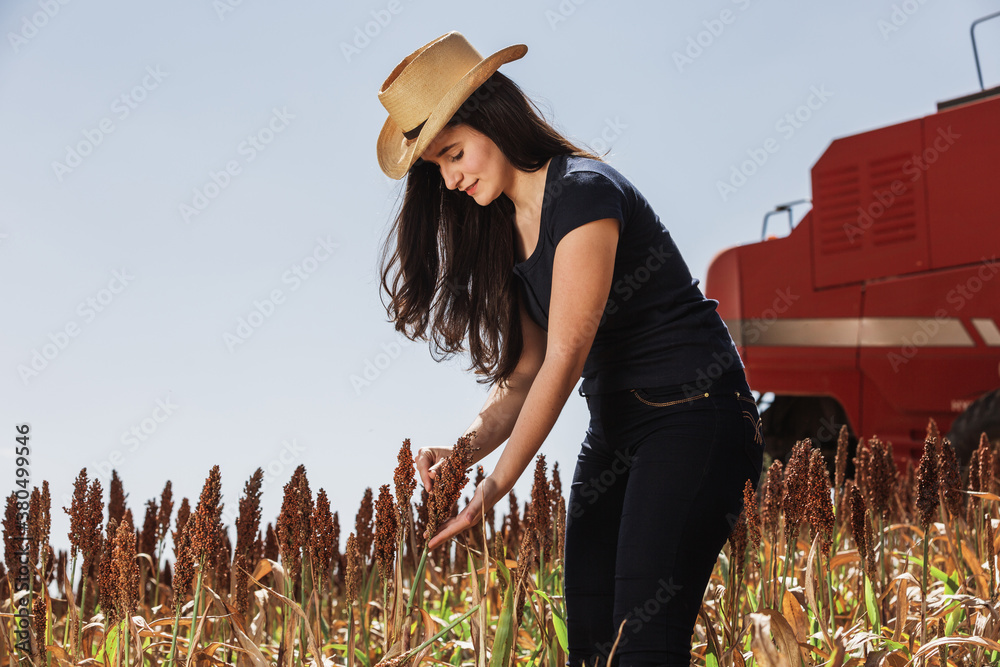 young woman with hat looking at branch of sorghum in a plantation