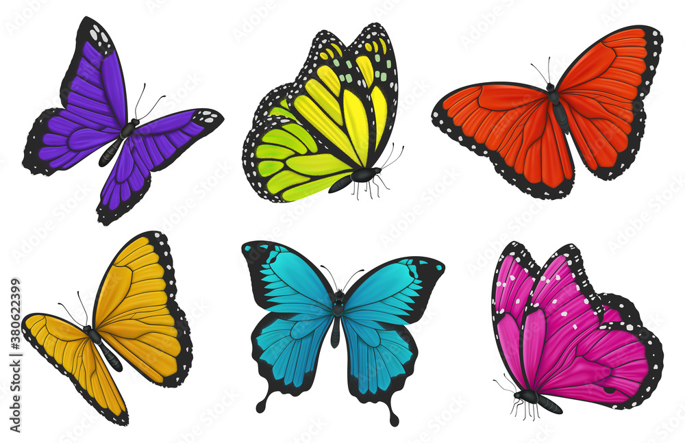 Set of colorful butterflies. Vector illustration.