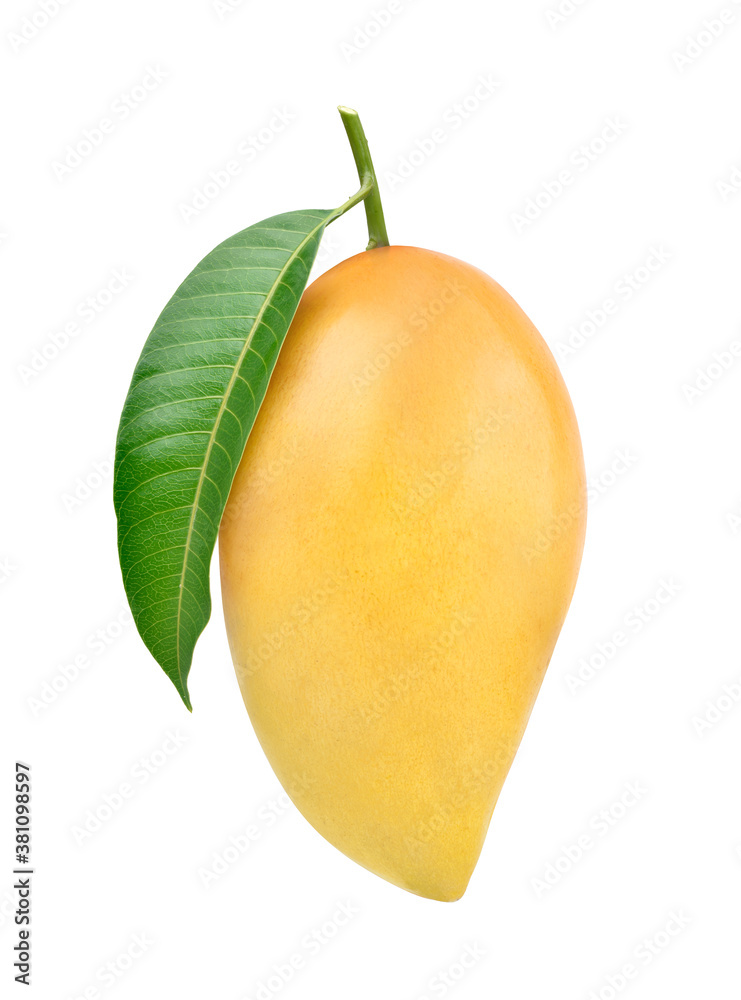 Ripe Mango with green leaf isolated on white background. Clipping path.