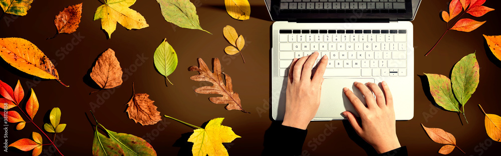 Autumn leaves with person using a laptop computer from above