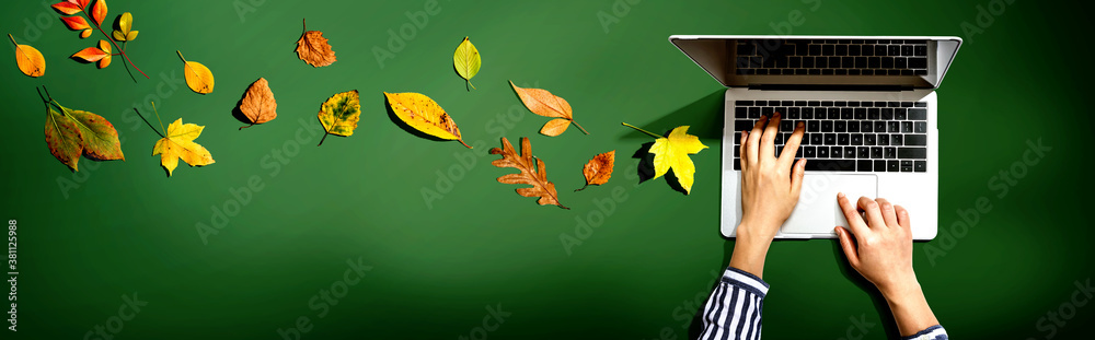 Autumn leaves with person using a laptop computer from above