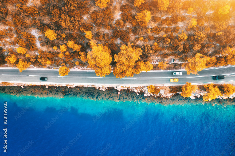 Aerial view of road in beautiful orange forest and blue sea at sunset in autumn. Colorful landscape 