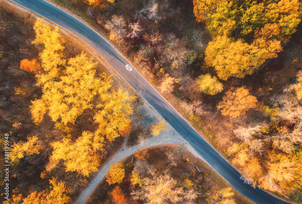 Aerial view of road in beautiful autumn forest at sunset. Colorful landscape with empty road  from a