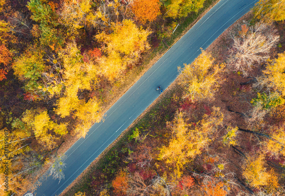 日落时美丽的秋林中的道路鸟瞰图。空旷的道路和树木构成了五颜六色的景观