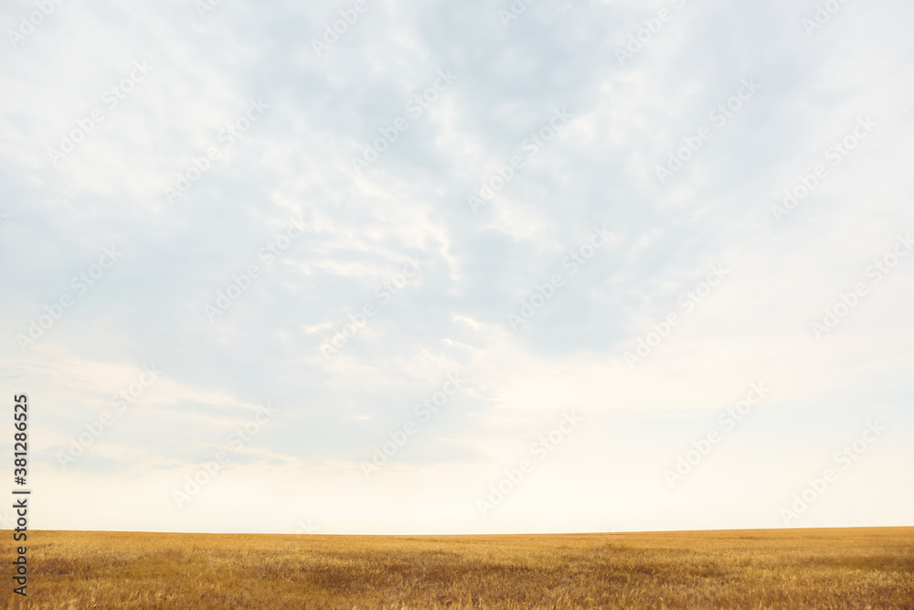 View of beautiful sky with clouds in countryside