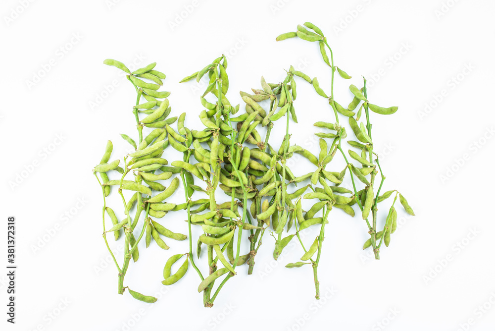 Fresh soybeans on white background