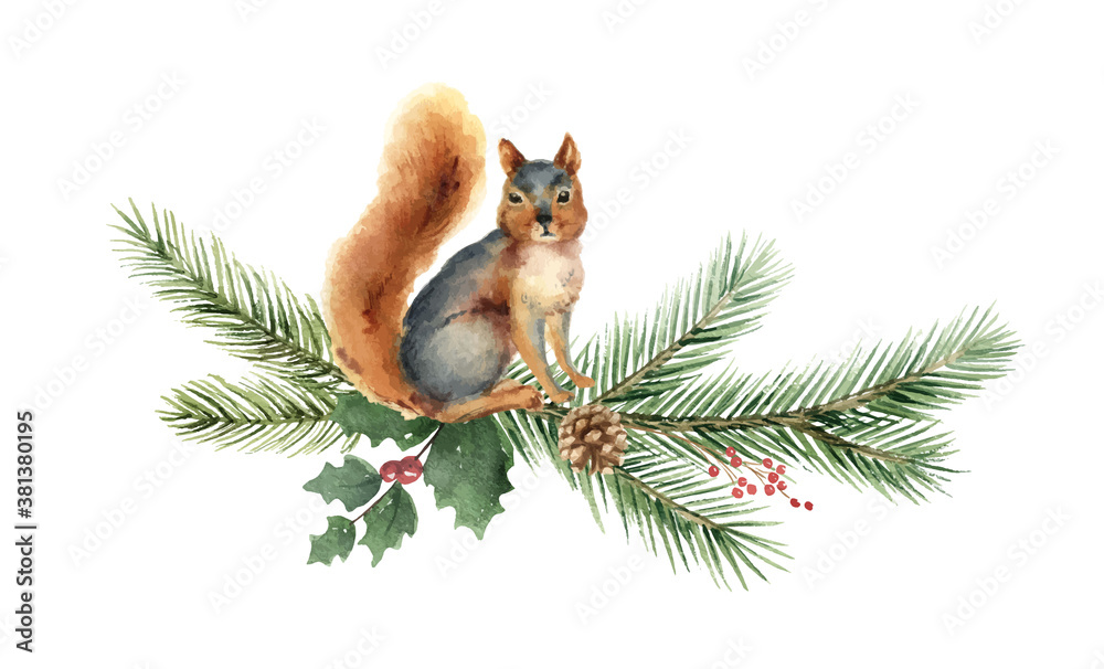 Watercolor vector Christmas card with squirrel and fir branches.