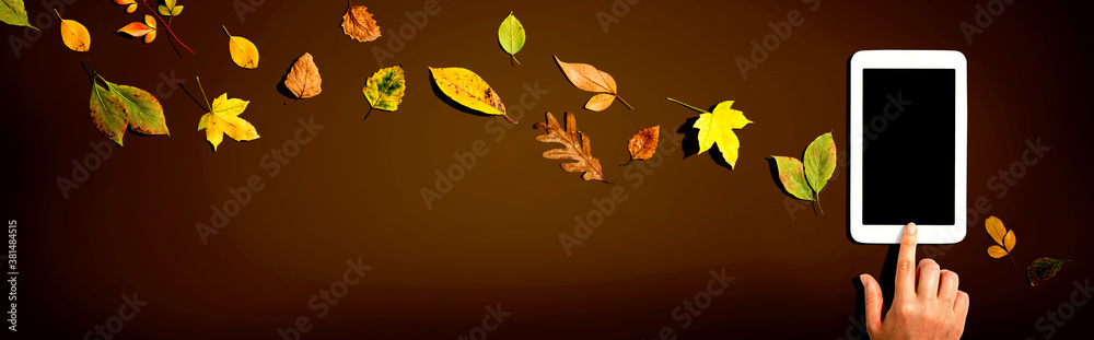 Autumn leaves with person using a tablet computer from above