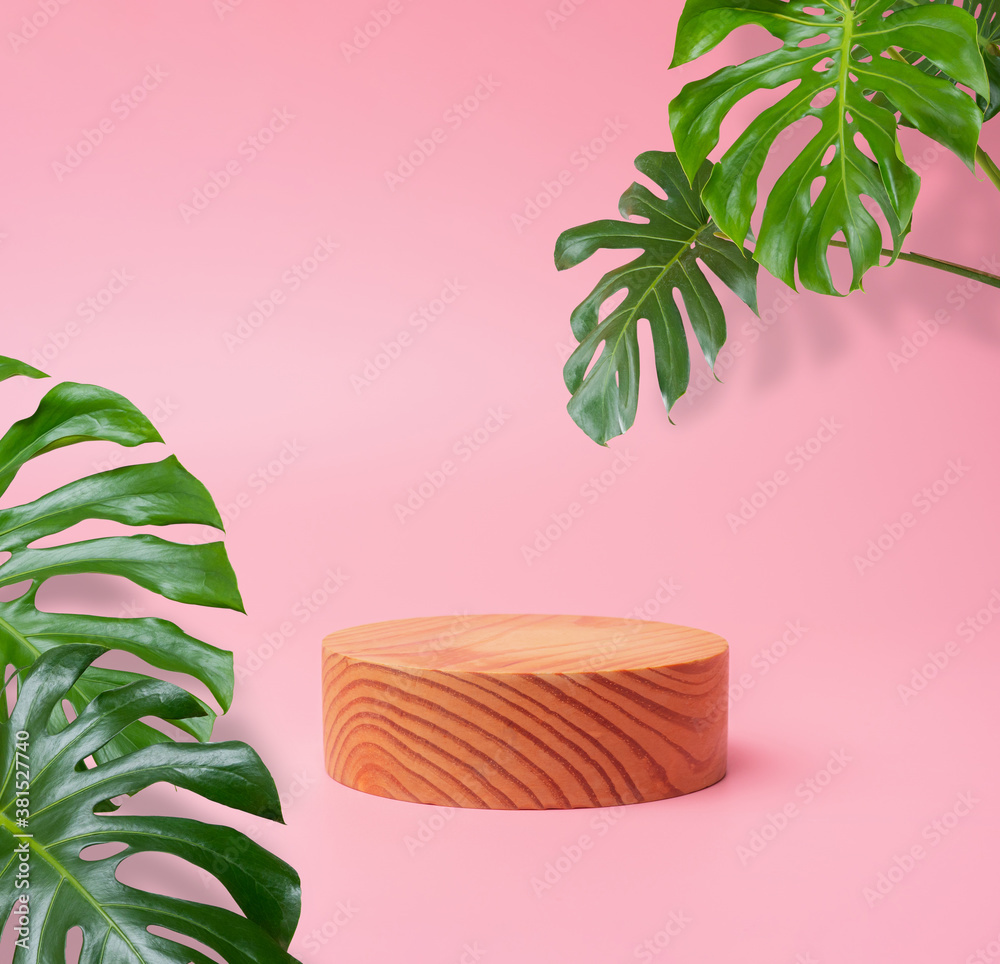 wooden podium stage cylinder for show product with green Monstera leaf on pink background with shado