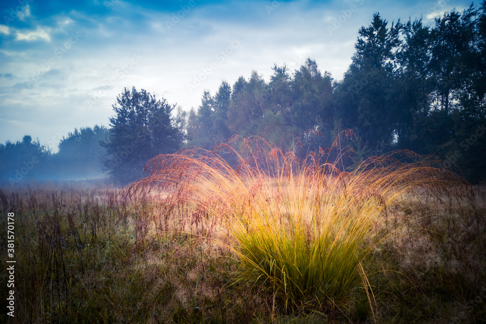 Autumn is coming with rain