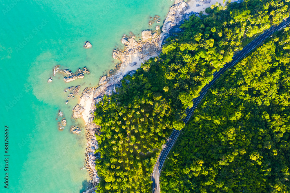 High angle view of  road pass through coconut tree forest and beautiful coastline in Khanom, Nakhon 