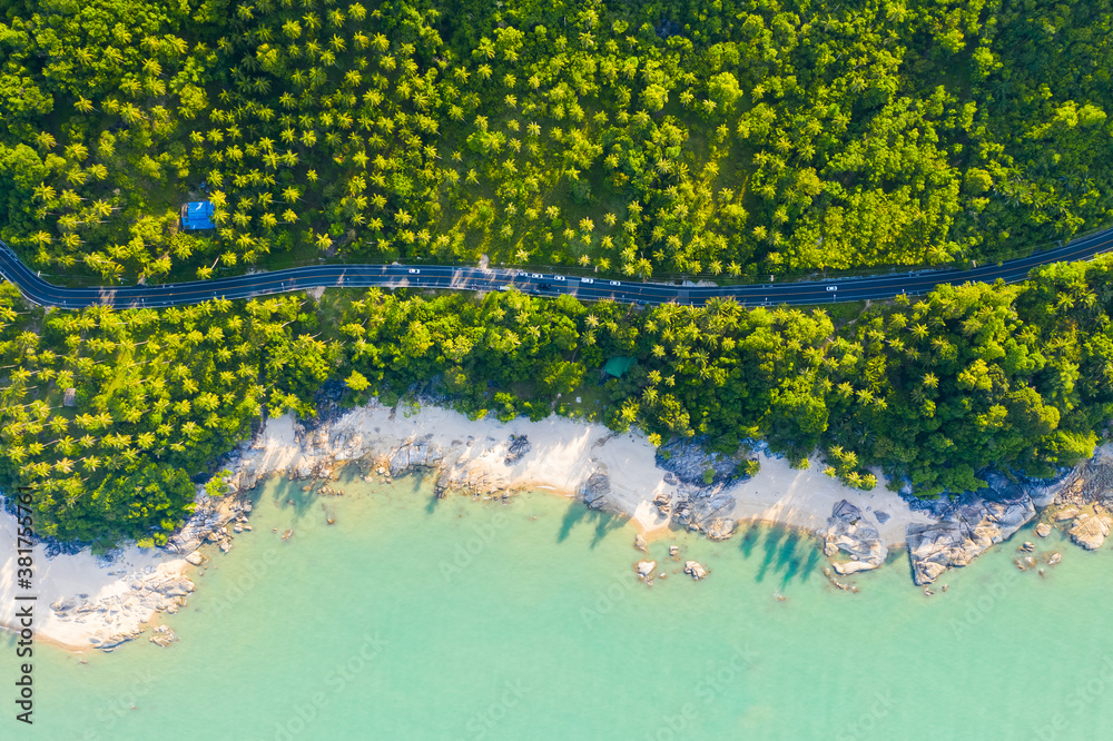 High angle view of  road pass through coconut tree forest and beautiful coastline in Khanom, Nakhon 