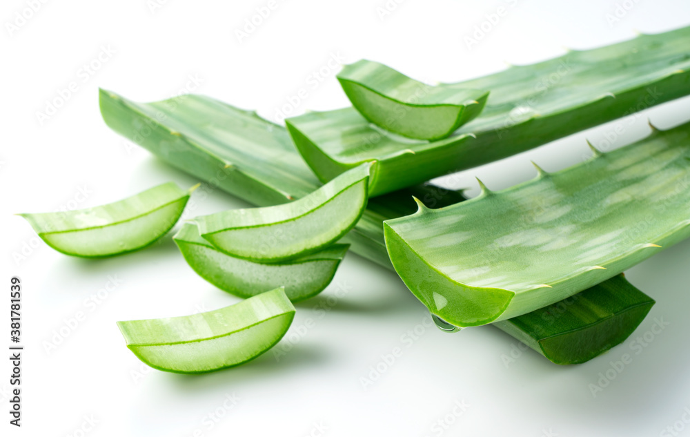 Aloe Vera on a white background