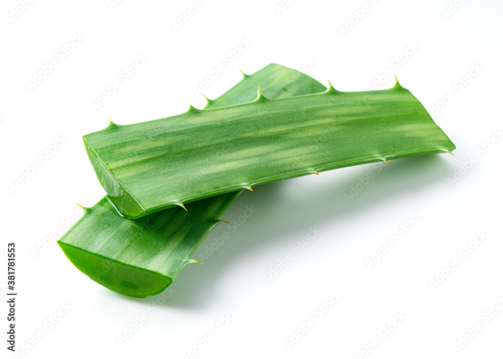 Aloe Vera on a white background