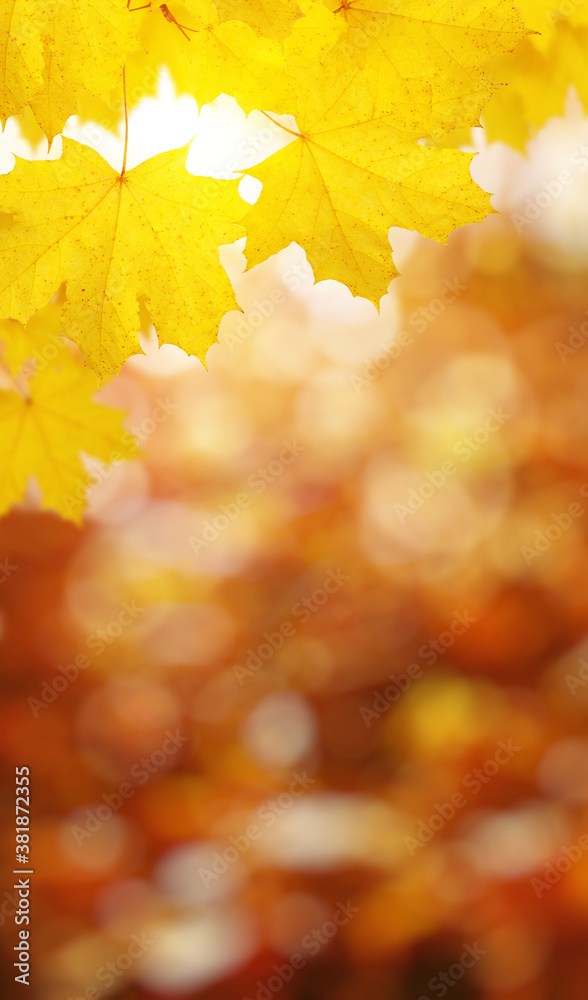  Fall blurred background.